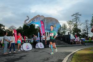 BIB: 
                            <button type="button" onclick="openModal(26529387)" class="btn btn-primary btn-sm float-right btn-popup" data-toggle="modal" data-target=".modal-high-quality">
                        <i class="fas fa-shopping-cart"></i> Add to Cart
                    </button>
                                            <button type="button" onclick="isThisMe(26529387, true)" class="btn btn-success btn-sm float-right btn-popup btn-isme hidden" data-toggle="tooltip" data-placement="bottom" title="นี่คือรูปของคุณใช่ไหม คลิกที่นี่เพื่อเอาเข้าอัลบั้ม">
                        <i class="fas fa-plus"></i> Add to album
                    </button>
                    <button type="button" onclick="isThisMe(26529387, false)" class="btn btn-warning btn-sm float-right btn-popup btn-isnotme hidden">
                        <i class="fas fa-ban"></i> Remove from album
                    </button>